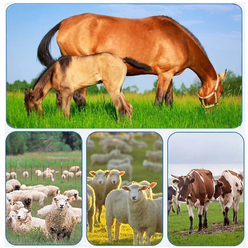 Application of Plastic horse feeding manger Application of Plastic horse feeding manger