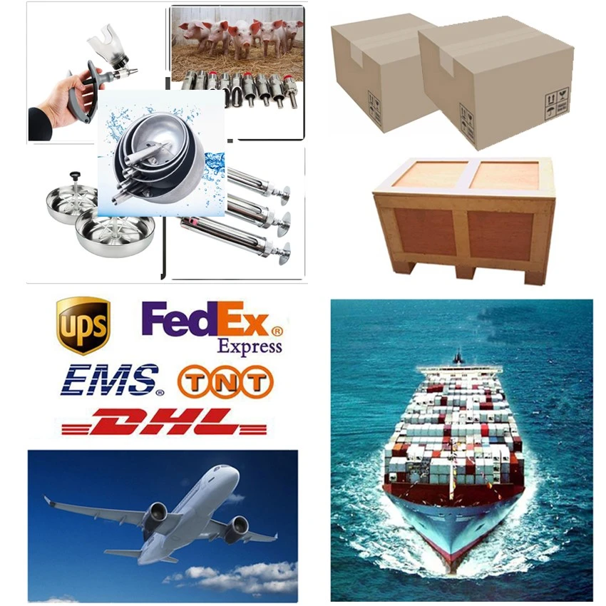 Packaging and Delivery of Feeding Nipple for sheep Packaging and Delivery of Feeding Nipple for sheep